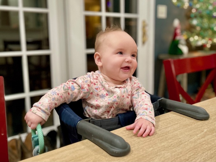 Inglesina Fast Table Chair Review - Baby Can Travel