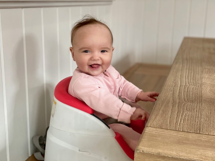 Inglesina Fast Table Chair Review - Baby Can Travel