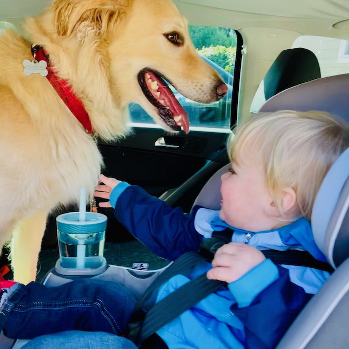 Traveling with a toddler on a road trip