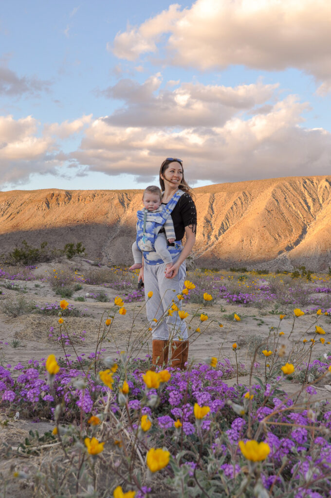 Ergo baby outlet carrier desert bloom