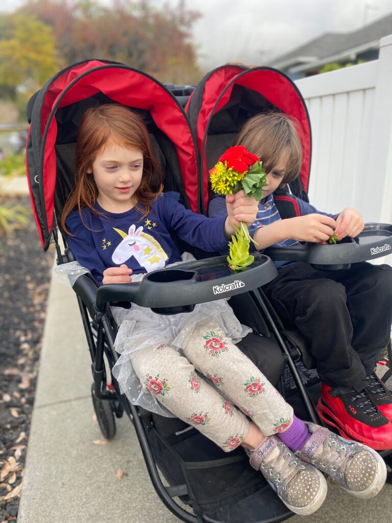 Cloud plus double clearance stroller