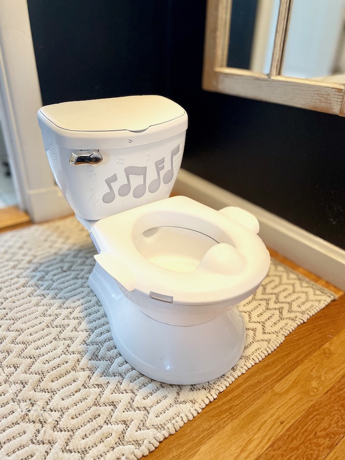 My Carry Potty