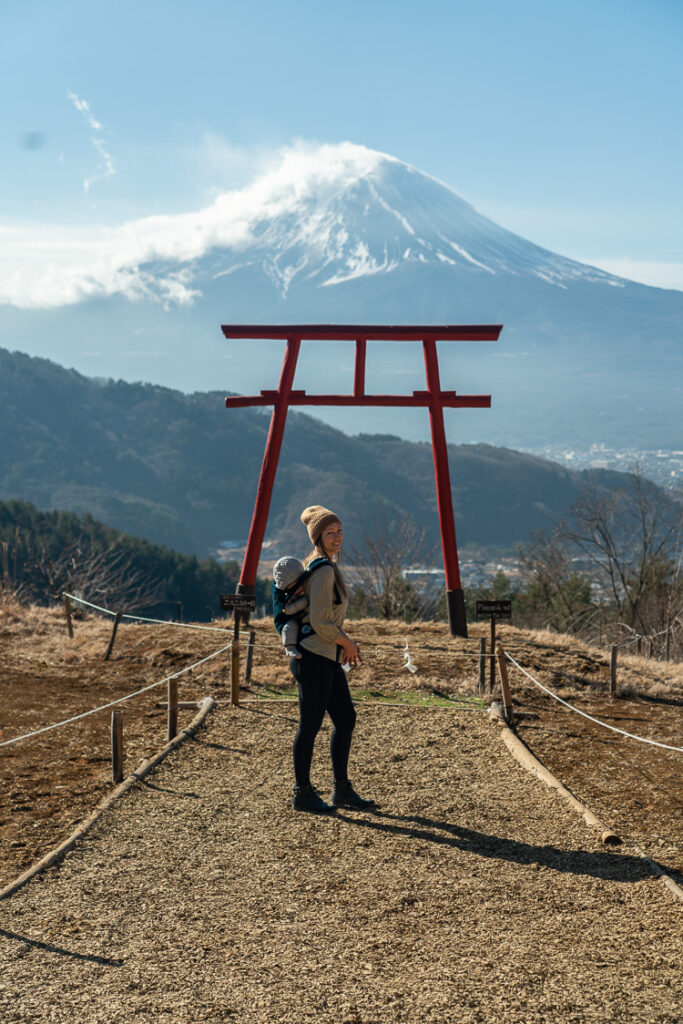 mt fuji torii gate