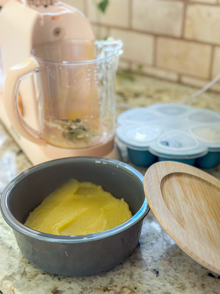 Baby Brezza vs. Beaba: Which Homemade Baby Food Maker Is Better?