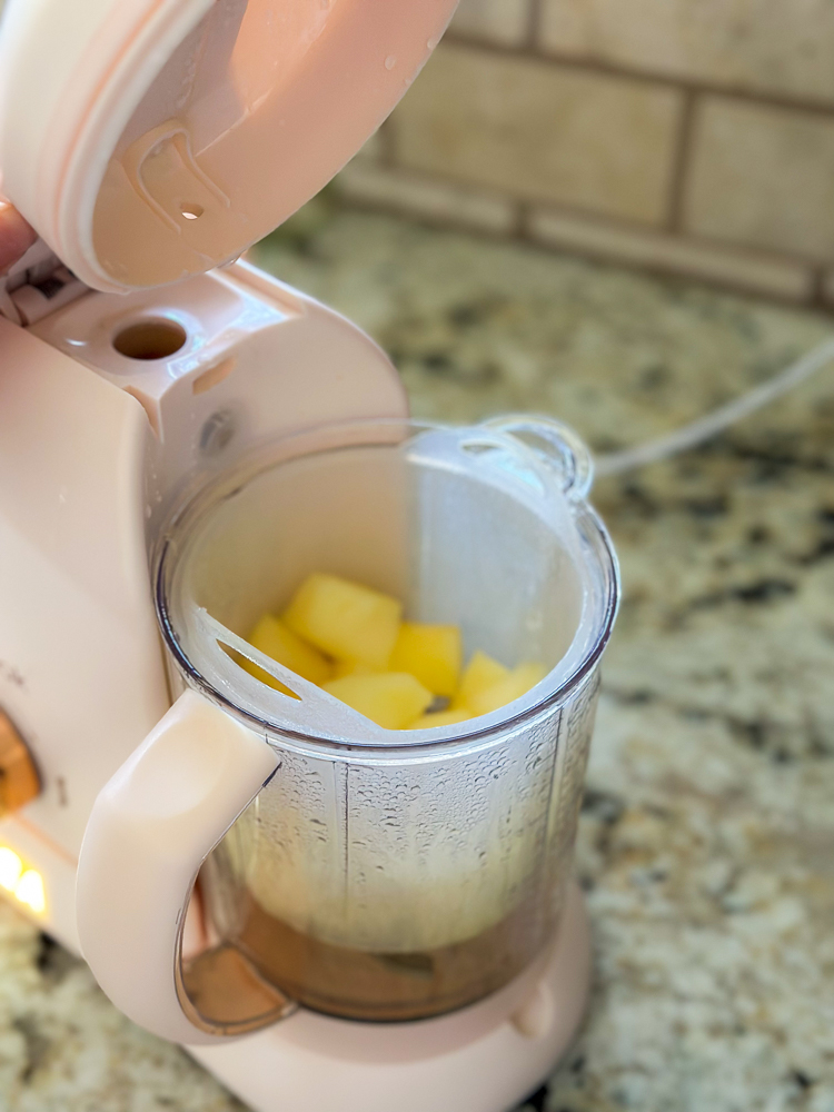 Babycook Solo® Baby Food Maker Processor - Clay