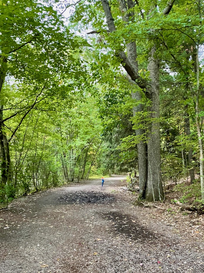 Hiking with a toddler