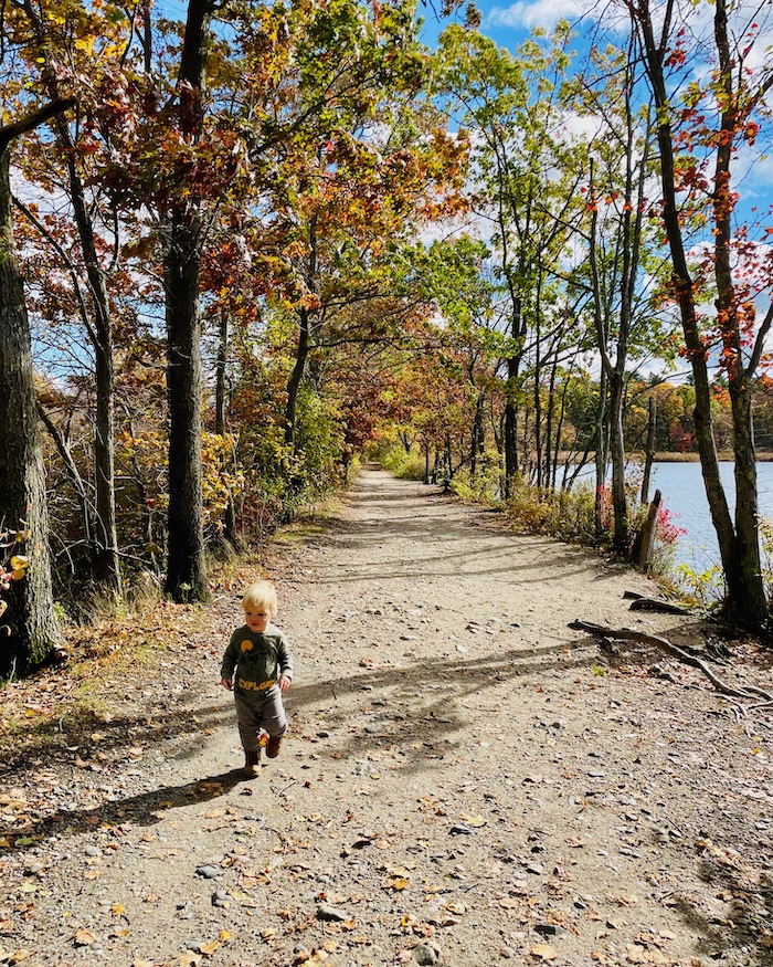 Hiking with a toddler