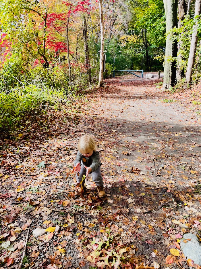 Hiking with a toddler