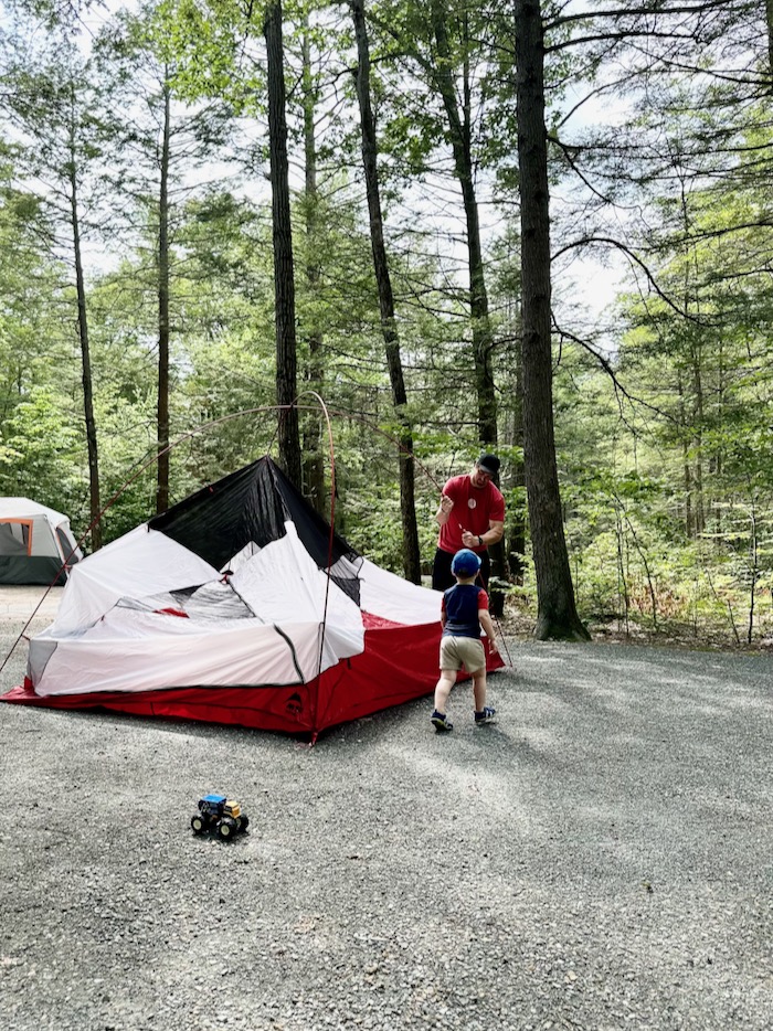 Camping in the woods essentials