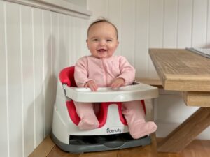 The 12 Best Portable High Chairs