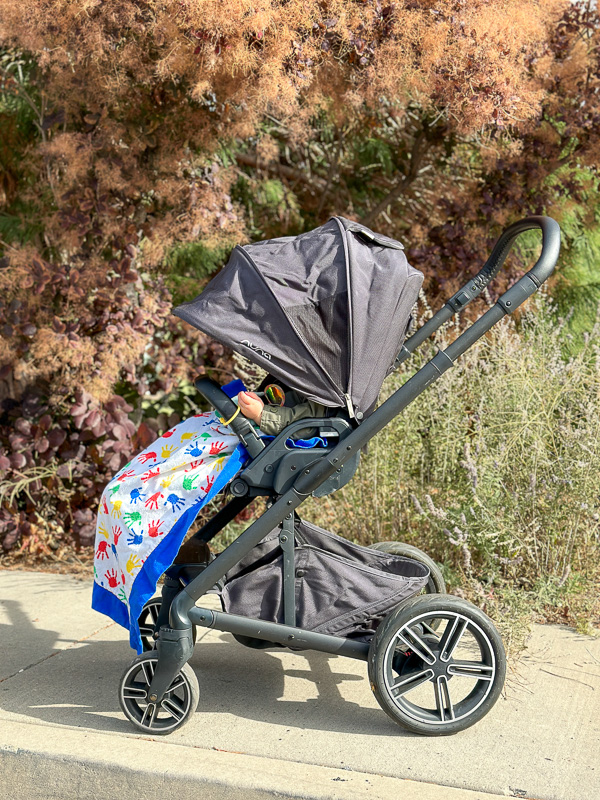 Nuna tavo 2019 outlet review