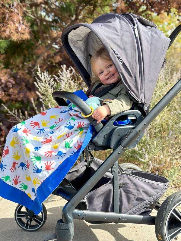 https://parenthoodadventures.com/wp-content/uploads/2023/10/nuna-mixx-stroller-review-6.jpg