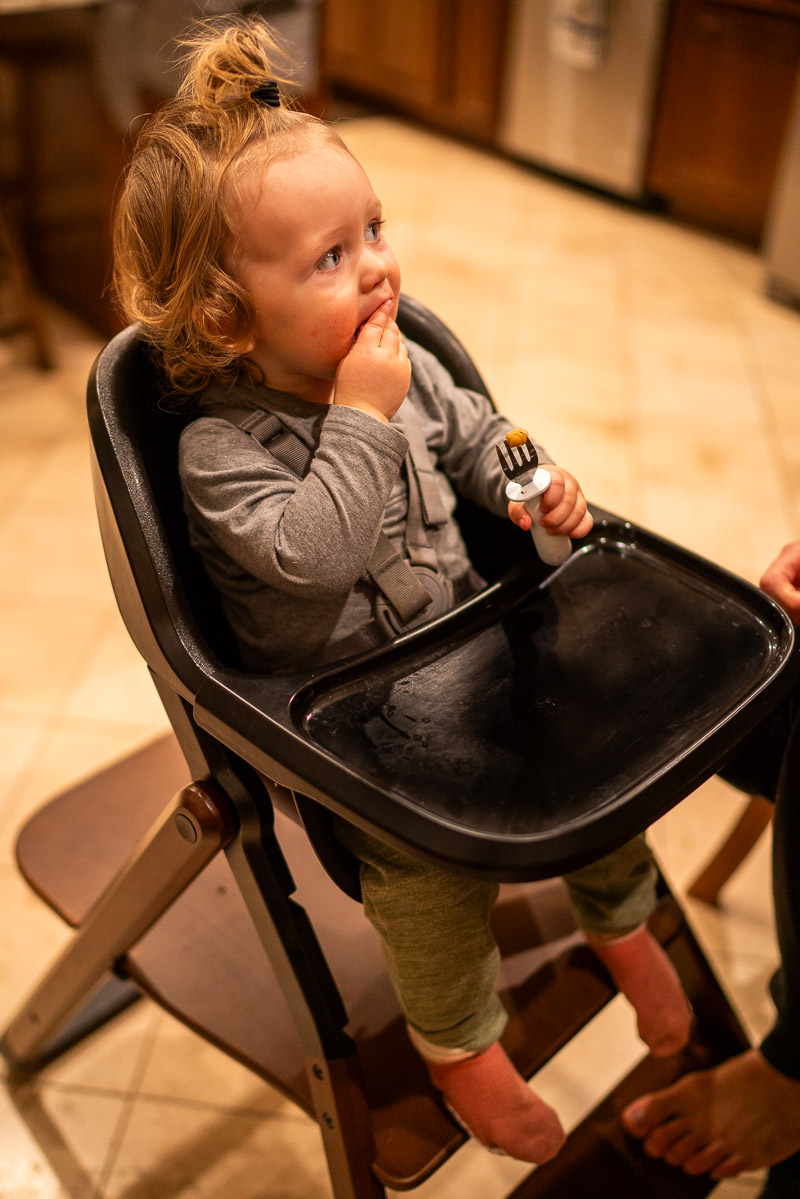 ergobaby high chair review