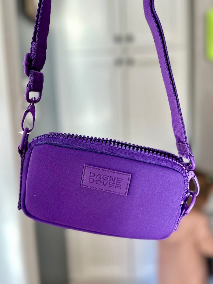 Dagne Dover Diaper Bag Review: Are They Worth Your Money?