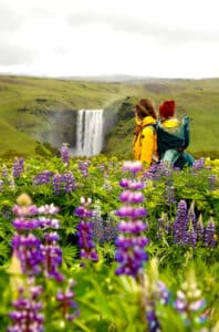 Is Iceland Family Friendly? What to Know Before You Go