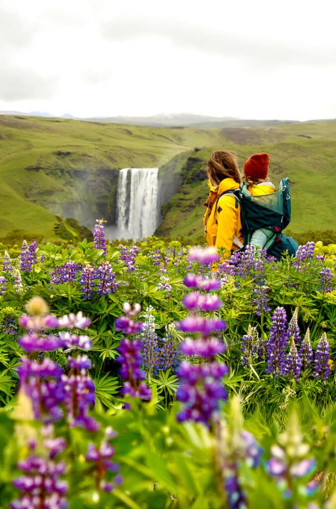 iceland with a baby toddler